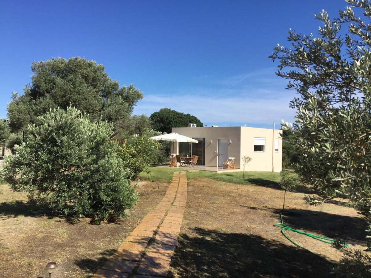 Villa Oikia Ampavris Kos-Stadt Exterior foto